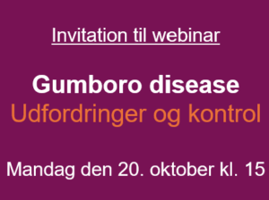 Invitation til webinar om Gumboro Disease