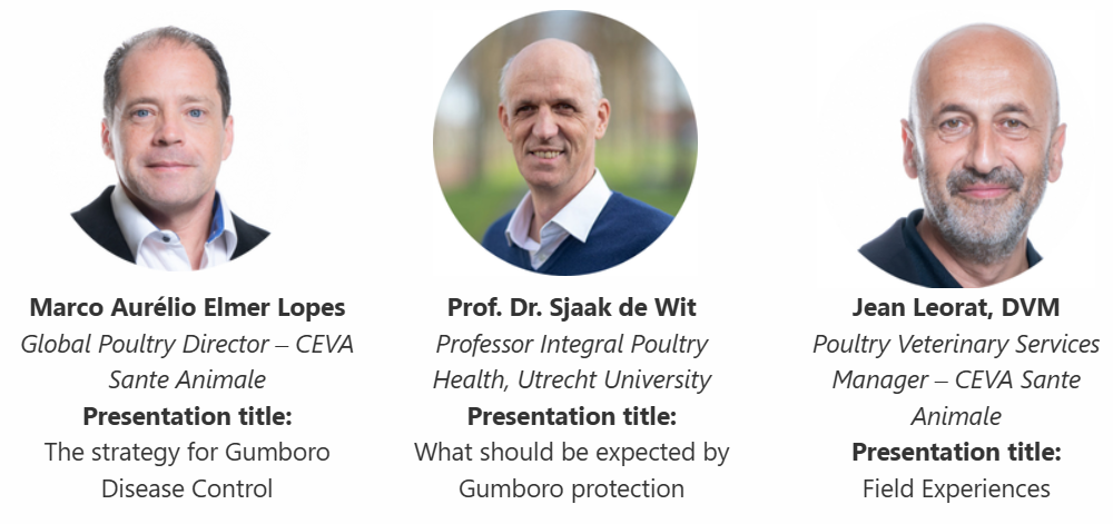 Webinar Gumboro eksperter_dec2025_Poultry World_Ceva