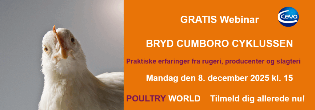 Webinar Gumboro kontrol praktiske værktøjer arrangeret af Poultry World og Ceva dec2025